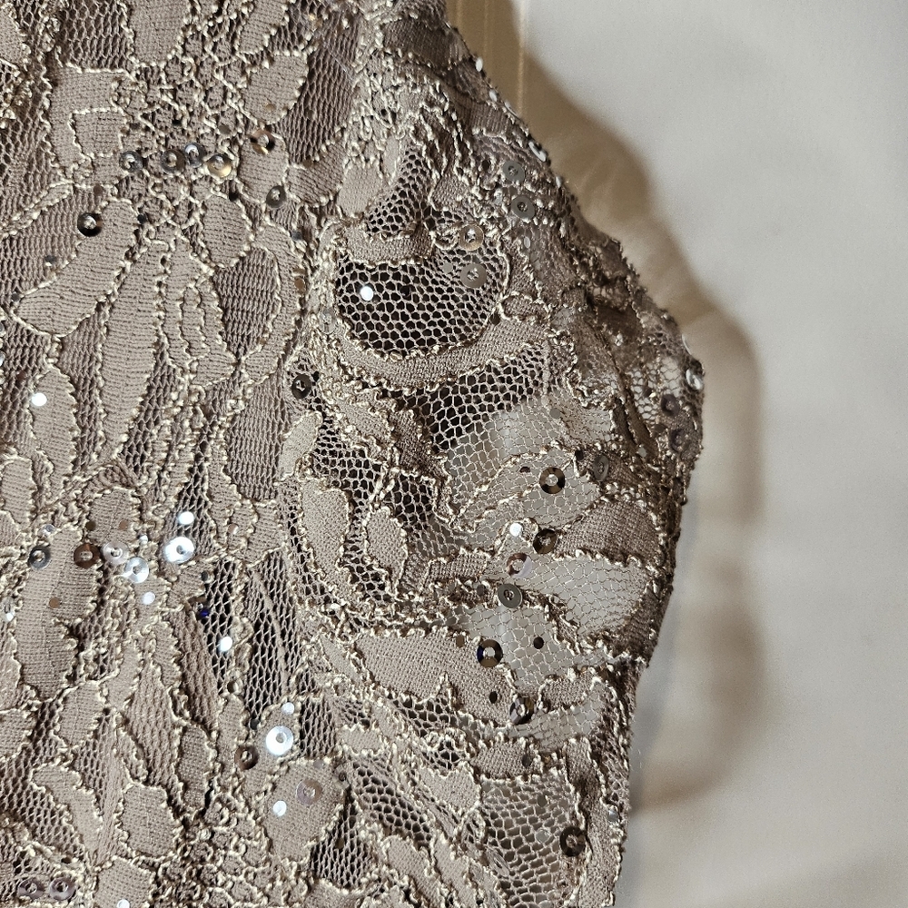 Scarlett Nite Shimmering Silver Midi Dress - Picture 5 of 12